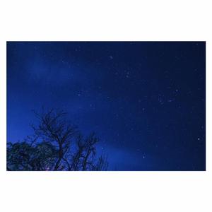 喜欢舔老师逼喷水
