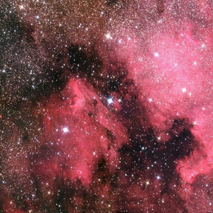 喜欢舔老师逼喷水
